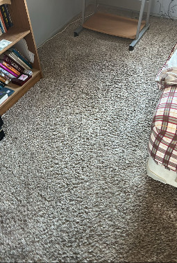 Oasis Carpet Pros Oasis Carpet Pros CC