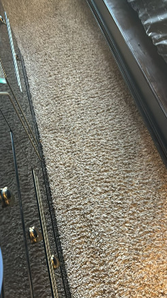 Oasis Carpet Pros Carpet Cleaning